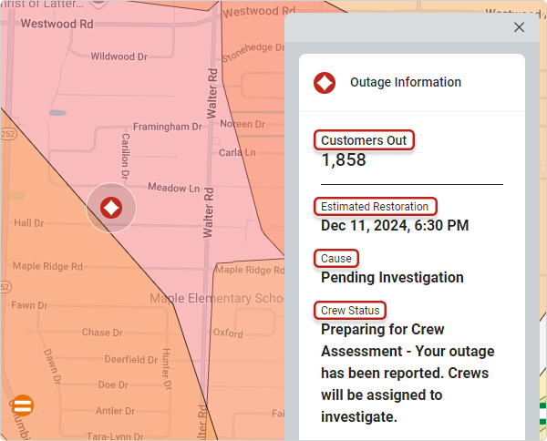 Outage Information Details