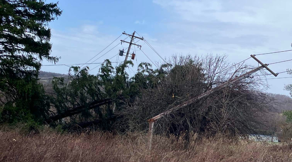 Storm Damage