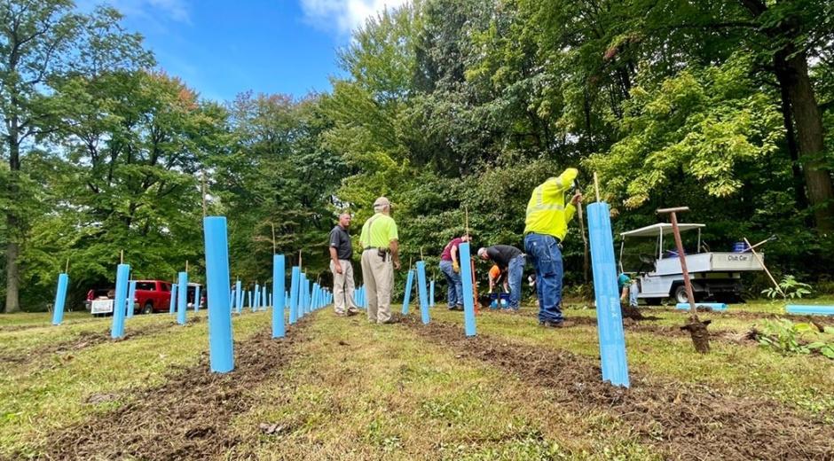 PA employees planting trees