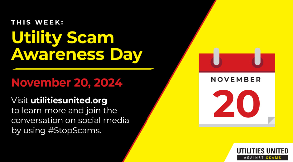 Scam Awareness Day 2024