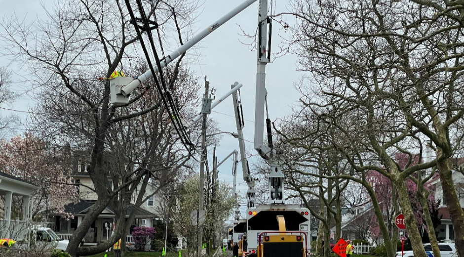 Tree trimming