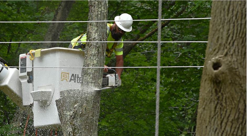 The Illuminating Company Completes $3 Million Tree-Trimming