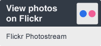 Flickr Icon