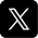 X Logo Icon