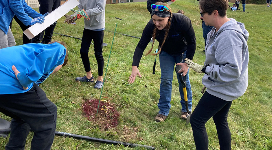 tree planting