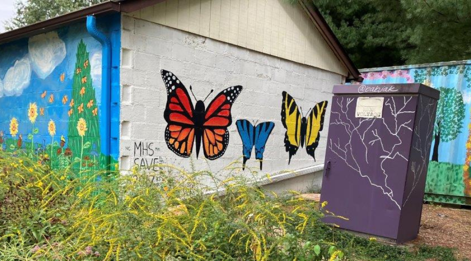 Butterfly painting on building