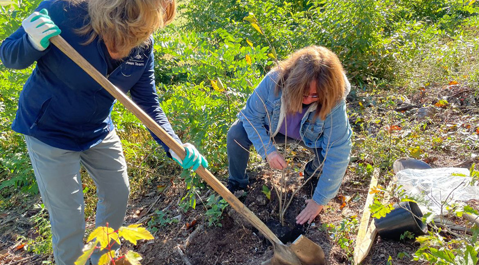 planting 